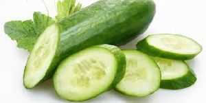 Fresh Cucumber