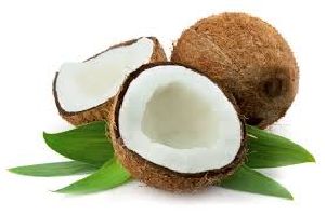 Fresh Coconut