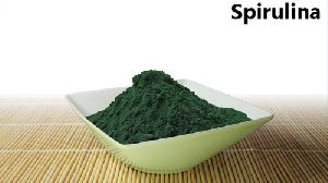 natural spirulina powder