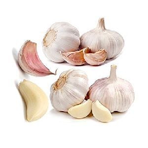 Poondu Fresh Hill Garlic