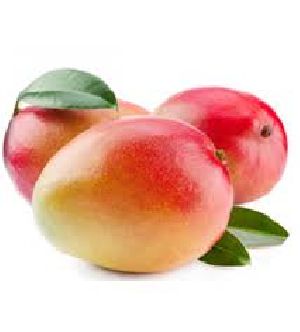 Fresh Lalbaug Mango