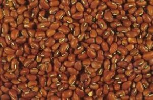 Red cowpeas