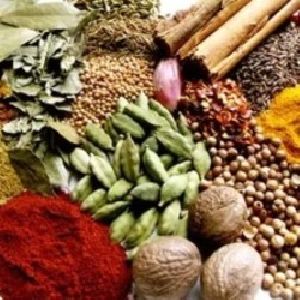 Indian spices