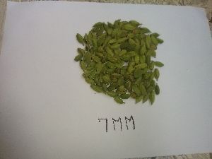 7mm Green Cardamom