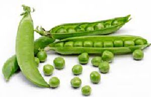 Green Peas