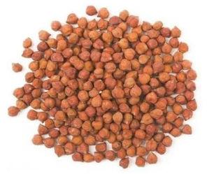 Chickpea