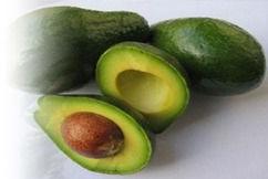 Fresh Avocado