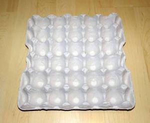 30 Eggs Pulp tray