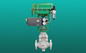 Top Guided Globe/Angle Control Valves