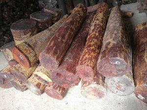 red sandalwood old logs