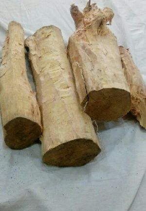 White Sandalwood Logs