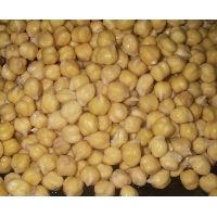 Chickpeas Seed