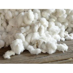 Raw Cotton