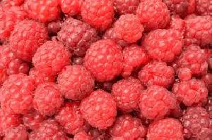 Fresh Raspberry