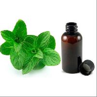 Mentha Citrata Oil