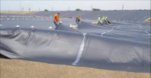 Geomembrane(HDPE/LDPE)