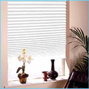 Pleated Blinds