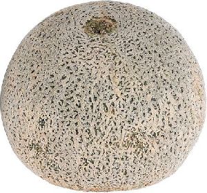 Fresh Cantaloupe