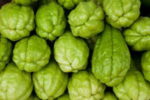 Fresh Chayote