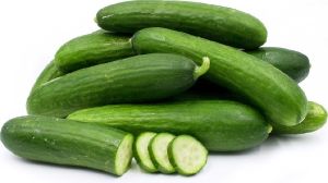 Fresh Cucumber