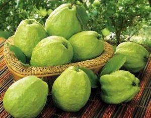 Fresh Guava