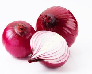 Onion