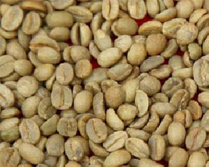 Robusta Green Coffee Bean