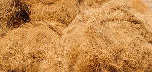 Coir Fiber