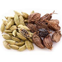 Cardamom