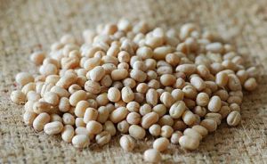 Washed Urad Dal