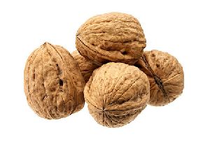 Shelled Walnuts