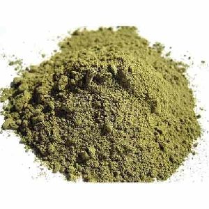 Indian nettle powder