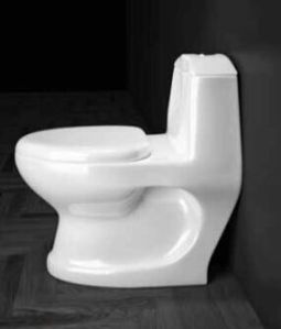 dime one piece toilet seat