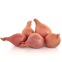 Fresh Shallot Onion