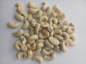 CASHEW NUT- WW240 GRADE