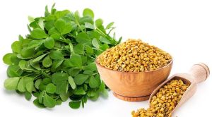 Fenugreek Powder