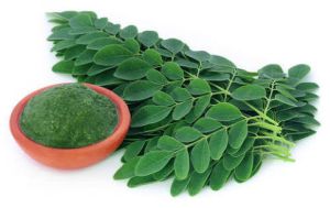 Moringa Leaf Powder