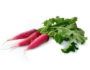 Fresh Red Radish