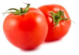 Fresh Tomato