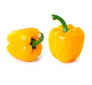 Fresh Yellow Capsicum