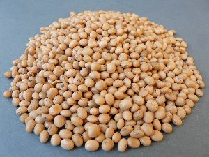 pigeon pea seeds