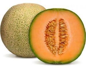 Fresh Muskmelon