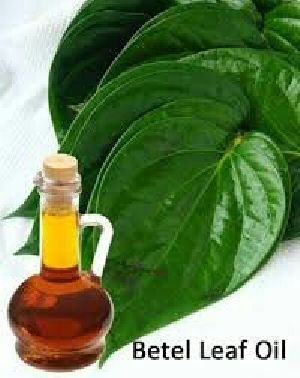 Betel Leaf Oil