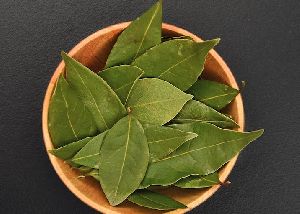 Bay Leaf