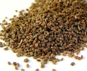 Celery Seeds