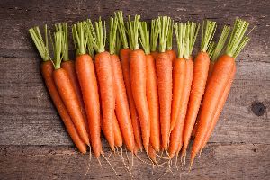 Fresh Carrot