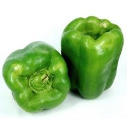 Fresh Green Capsicum