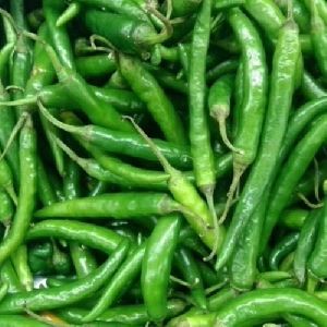 Fresh Green Chillies