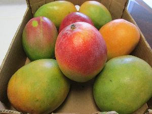 Fresh Mango