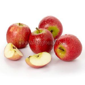 Fresh Apple